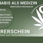 cannabis-legalisierung führerschein zurück